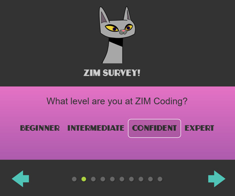 ZIM Survey