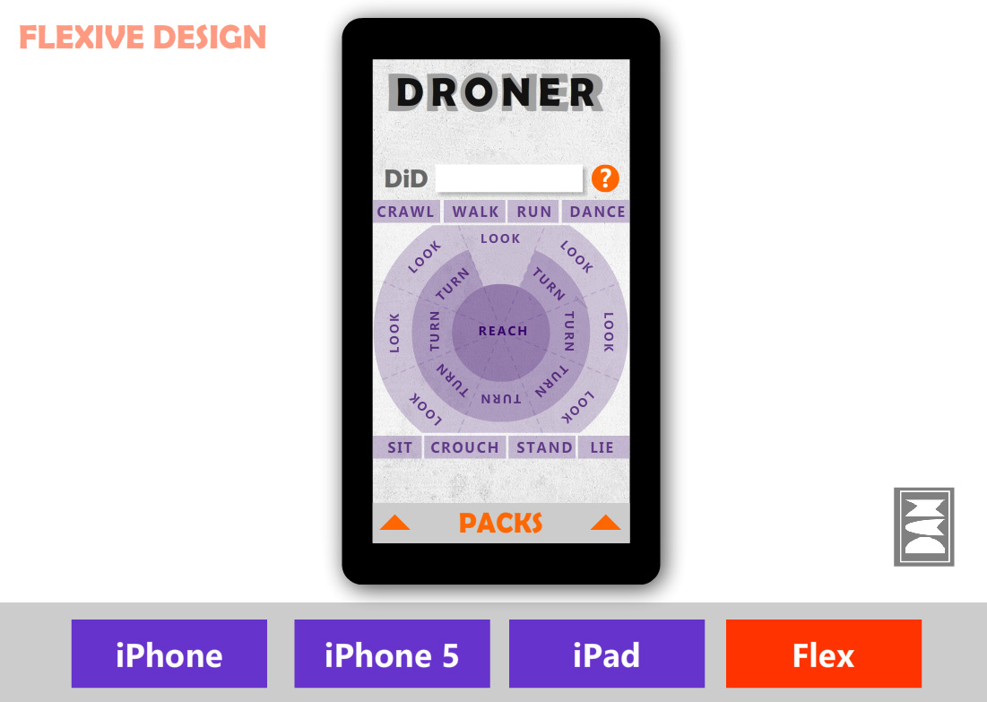 Flash Interactive Demo showing responsive design info